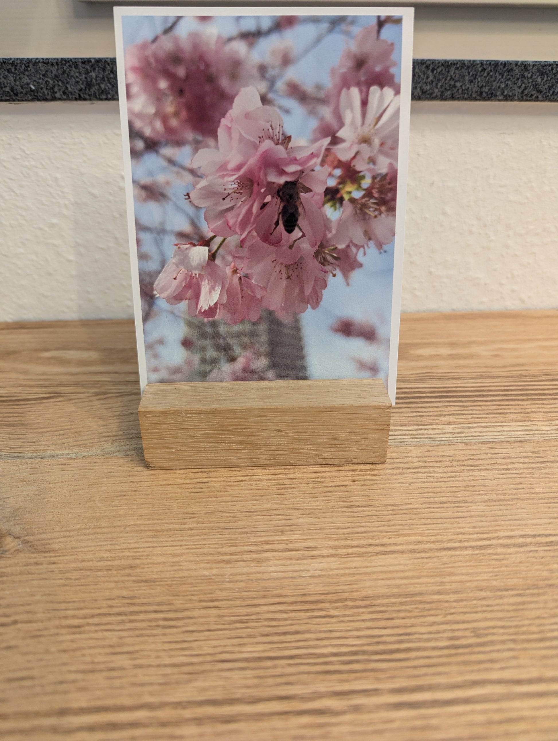 Postkarte "Japanische Blütenkirsche"