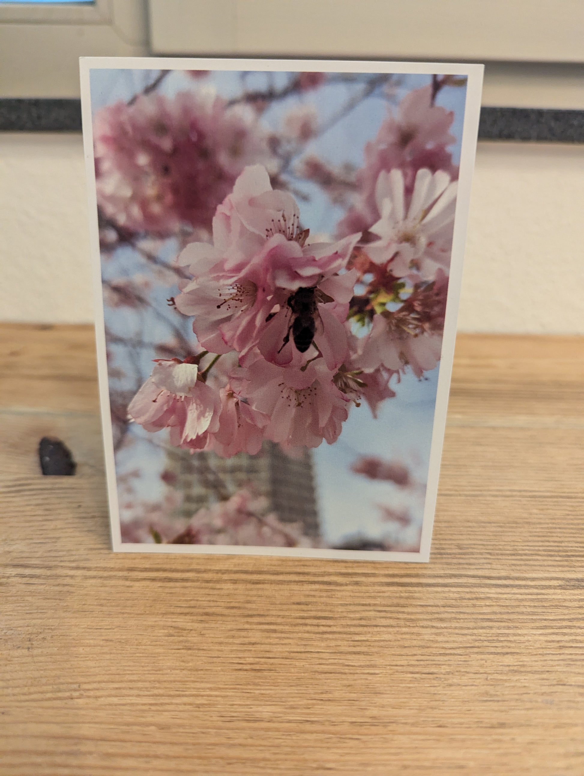 Postkarte "Japanische Blütenkirsche"